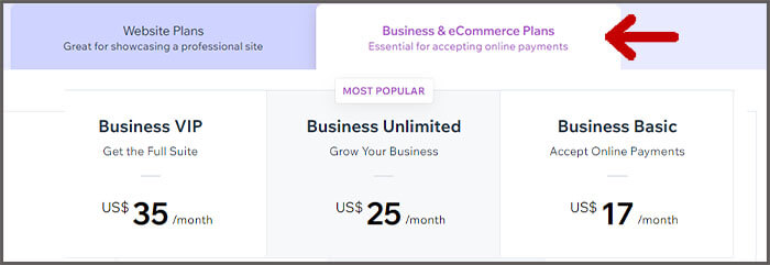 Wix business and ecommerce plan