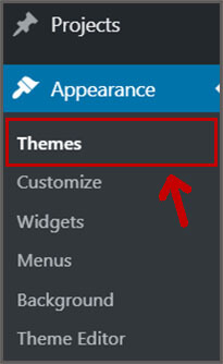 Wordpress Appearance Themes