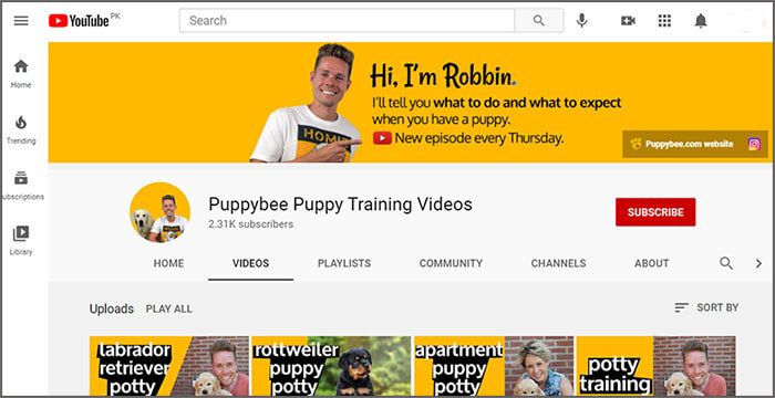 Puppybee Puppy Training Videos